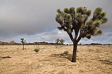 尼尔谈《美末2》浪漫元素：感到不舒服 但联合编剧极力推动