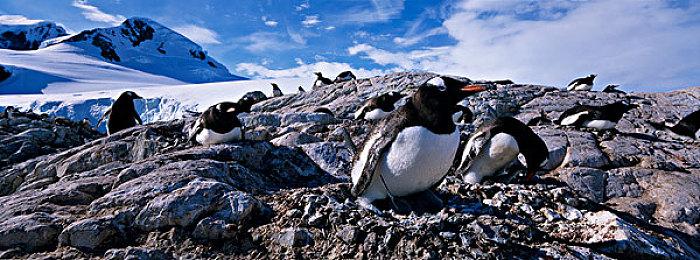 快速甩开老前辈 Xbox Series X|S对比Xbox One销量